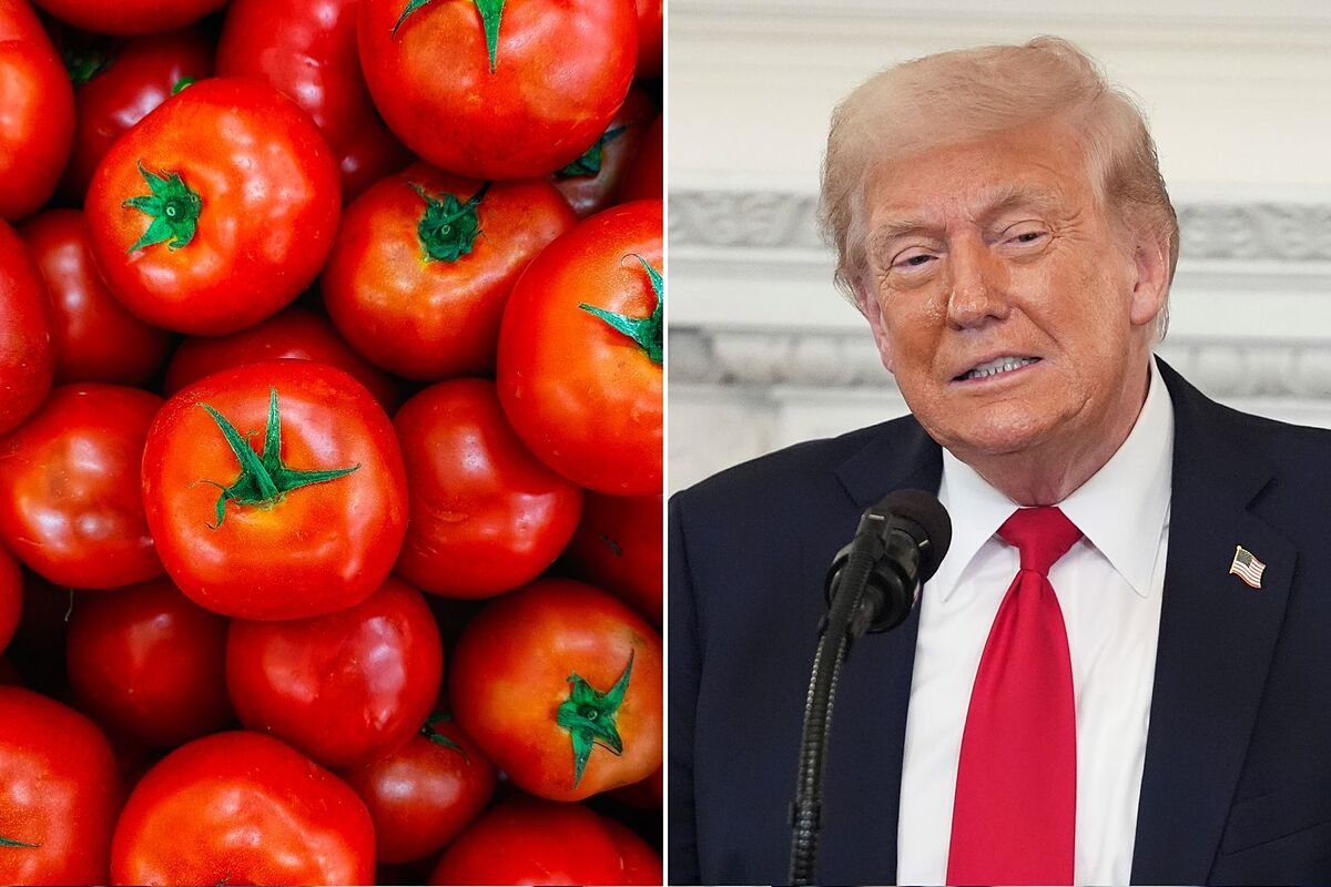 Sube precio del Jitomate mexicano; así impacta el 17% de ...