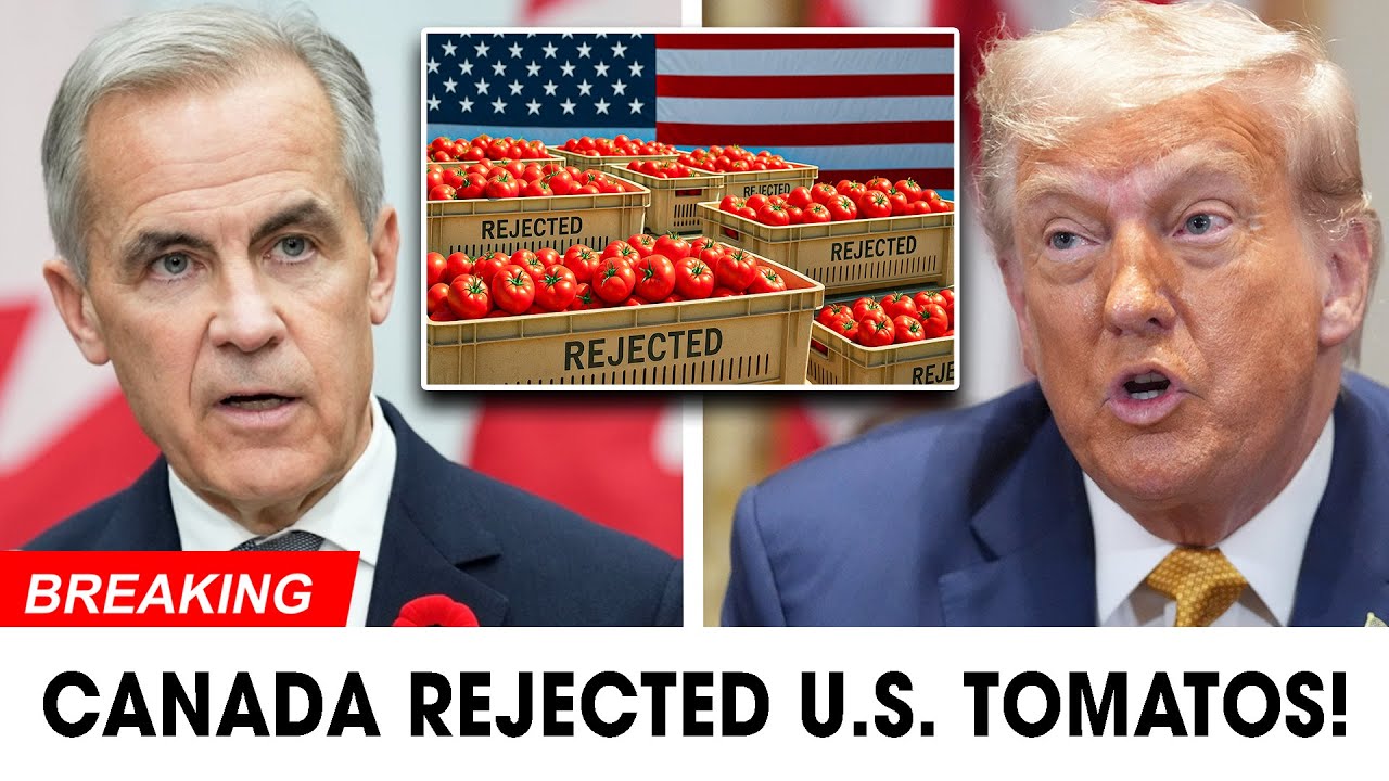 U.S. Tomato Shipments REJECTED After Canada Bans Imports ...