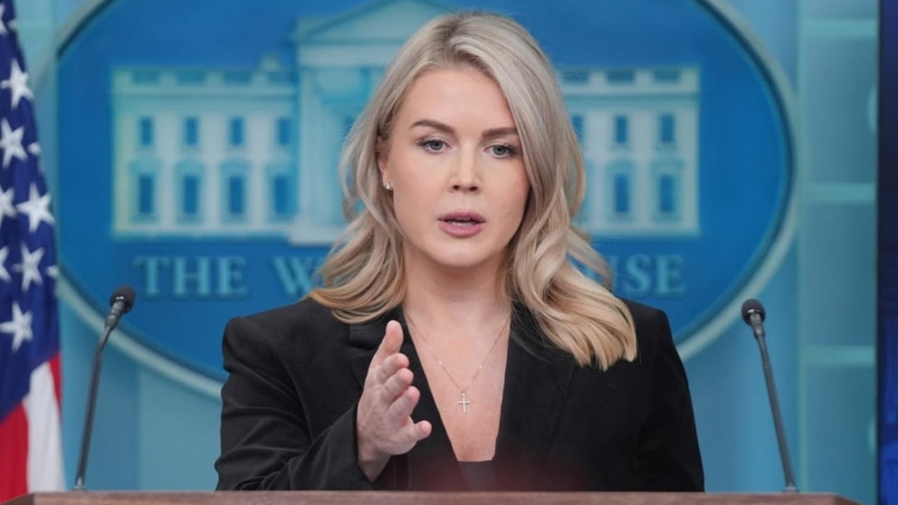 ICE arrests woman with family link to White House press secretary Karoline  Leavitt